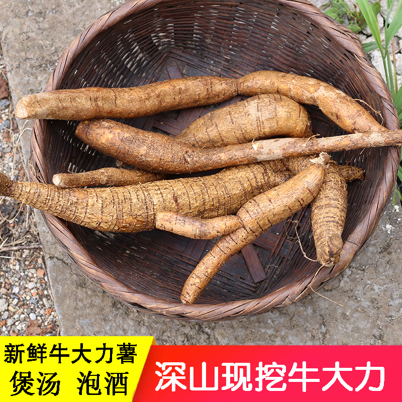 深山现挖牛大力新鲜货250g煲汤料