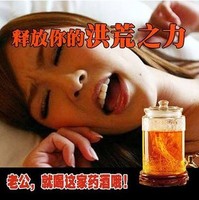 鲜人参山人参鹿茸片血片鹿鞭片五味子枸杞子泡