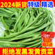 2024贡菜干货西南特产农家火锅食材新鲜苔菜干脱水蔬菜响菜贡菜干