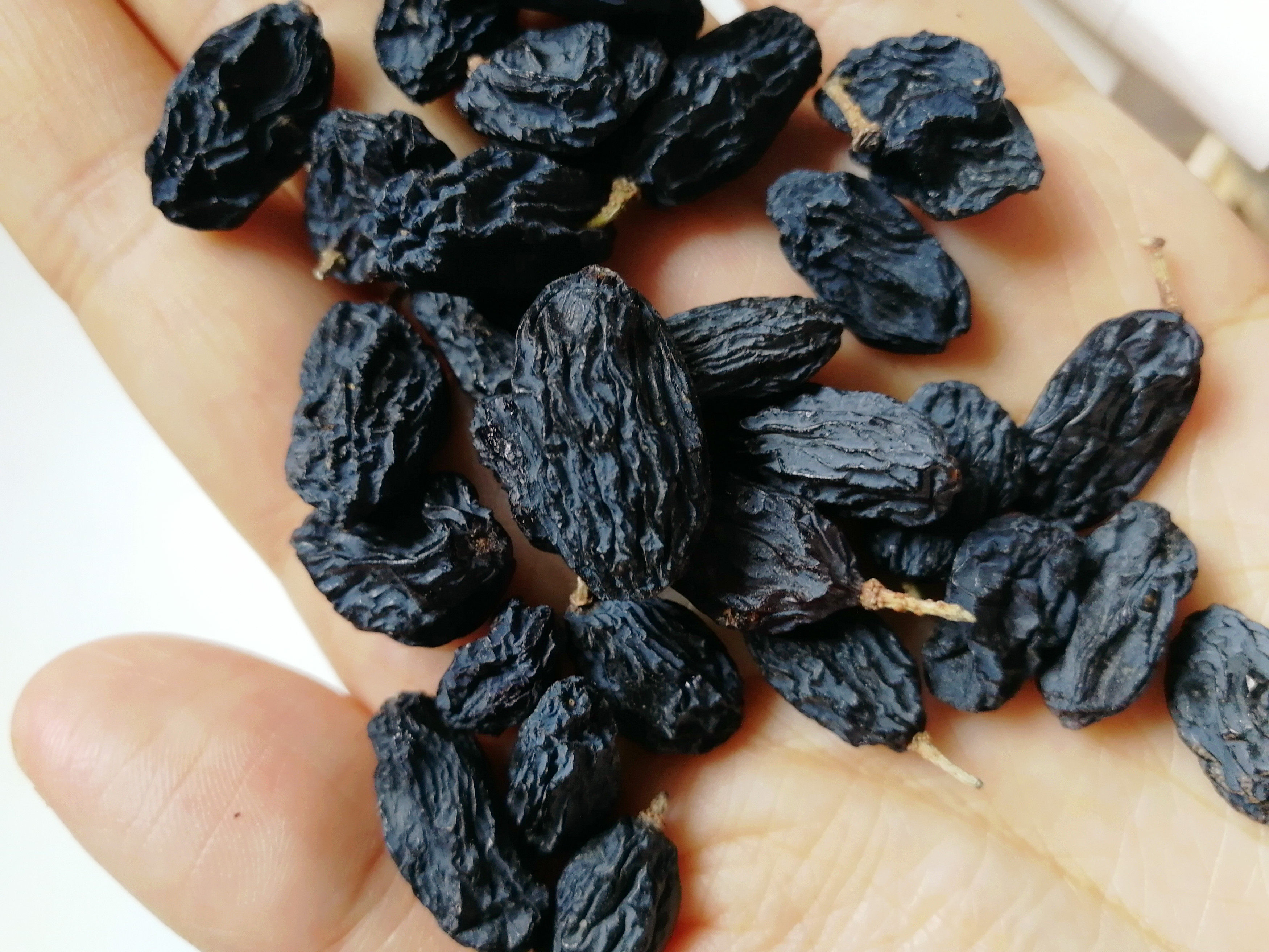 黑加仑葡萄干特级500