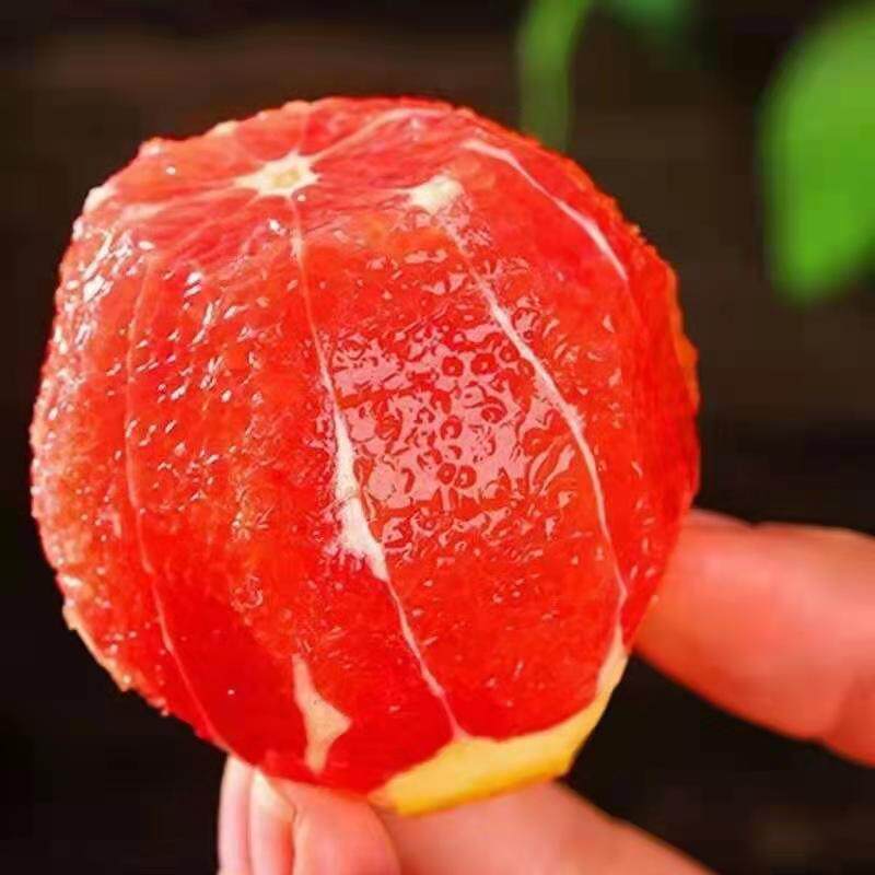 血橙新鲜水果当季红心橙子白沙红橙中华红秭归九月红10斤红肉脐橙
