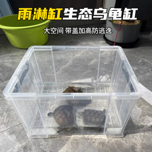 乌龟缸特大号长方形带盖塑料鱼缸周转箱家用养龟高透明水族饲养箱