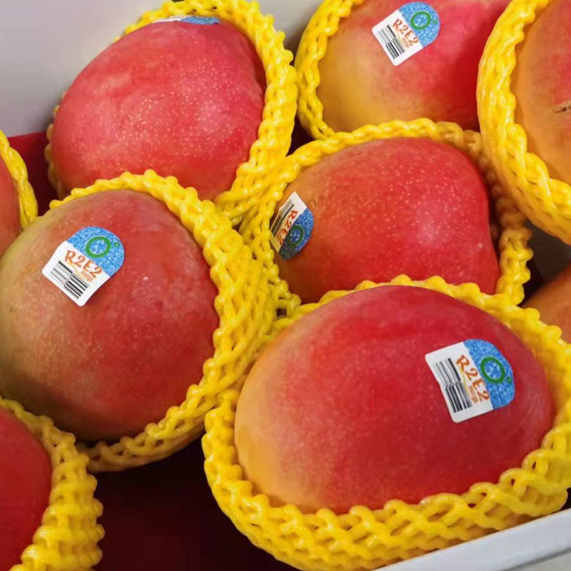 澳洲进口澳芒太阳芒r2e2彩芒2颗装芒果新鲜澳州芒果红芒顺丰包邮