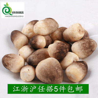 新鲜菌菇 草菇 食用菌 兰花菇 500g 草菇新鲜 江浙沪5件包邮