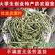 包邮贡菜叶苔干叶子 农家土特产脱水蔬菜干菜山野菜面条500克