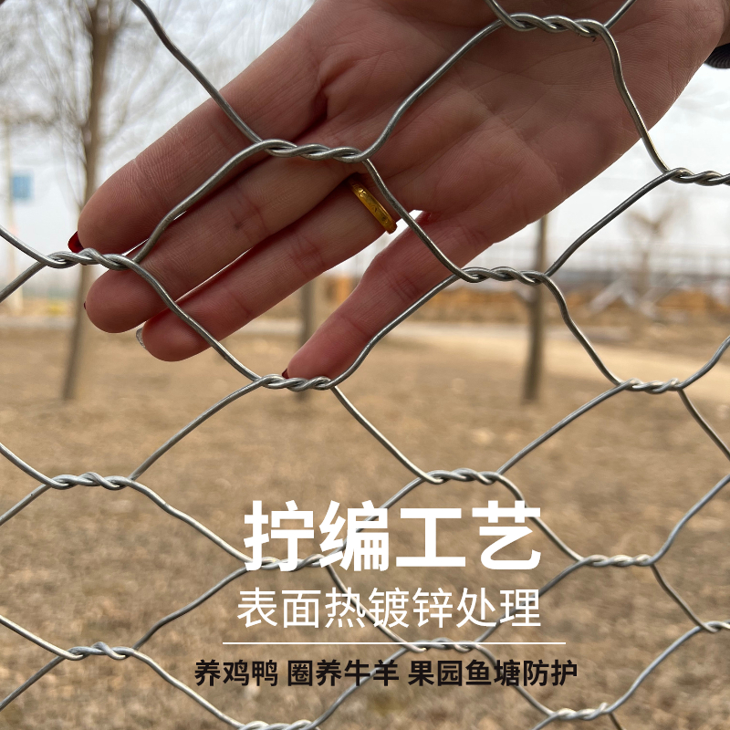 镀锌铁丝围栏网护栏网养殖圈牛羊猪防护网拧花钢丝网隔离网六角网