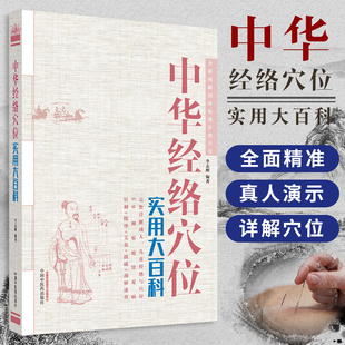 中华经络穴位实用大百科 李志刚 全彩图解  国家标准经络穴位全书手册 医学书籍 医师核心能力提升 中国中医药出版社