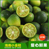 正宗海南青金桔小金橘小青桔子新鲜小青桔奶茶原料现货3斤装包邮 正宗海南青金桔小金橘小青桔子新鲜小青桔奶茶原料现货3斤装包邮