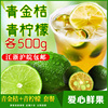 海南青金桔和青柠檬各500g奶茶原料金橘柠檬坏果包赔江浙沪皖包邮 海南青金桔和青柠檬各500g奶茶原料金橘柠檬坏果包赔江浙沪皖包邮