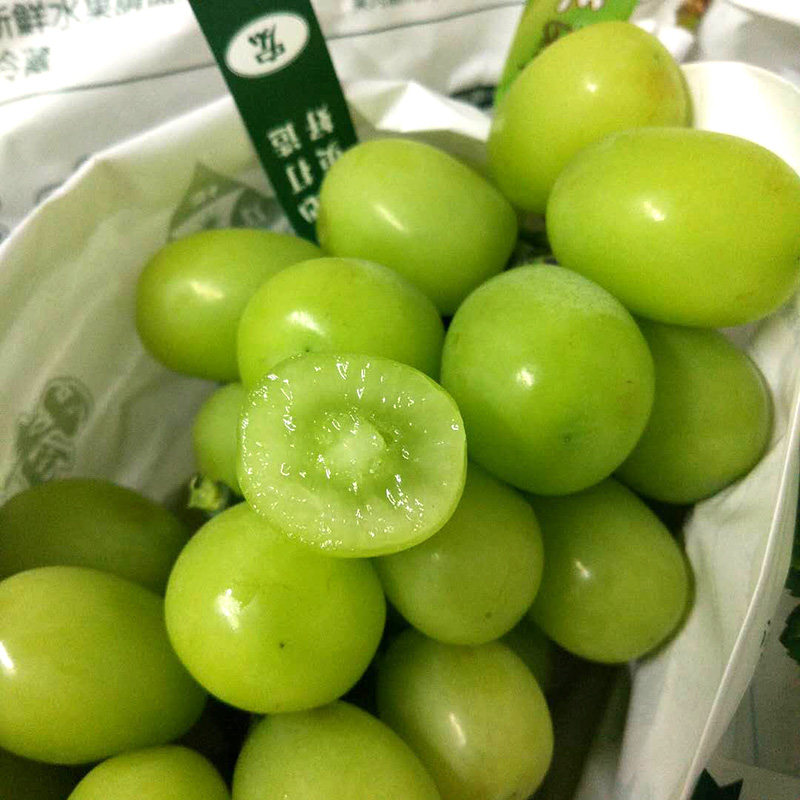 进口提子晴王无籽青提新鲜水果日本品种香印葡萄3斤孕妇水果顺丰