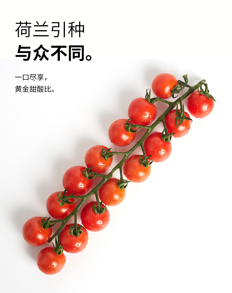 串柿樱桃水果小番茄198g*2盒非海南千禧新鲜孕妇生吃千禧圣女果