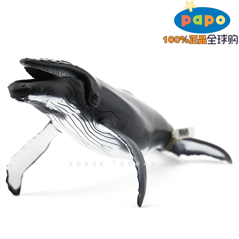 法国papo正品仿真海洋动物模型儿童玩具 56001座头鲸 鲸鱼
