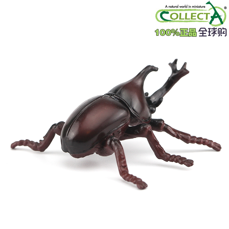 英国collecta我你他原装正版仿真昆虫动物玩具模型88337独角仙