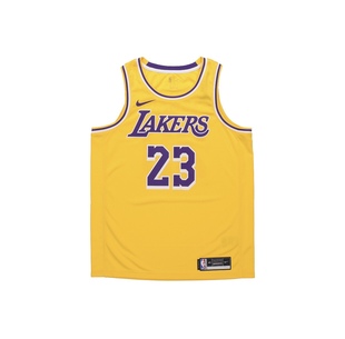 Nike耐克NBA LA Lakers Jersey LeBron詹姆斯球衣背心AA7099-741