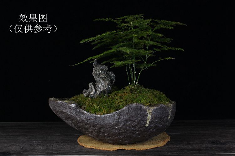 宜兴紫砂花盆 粗陶异形花盆 手工制作 不规则个性盆景盆自产直销9