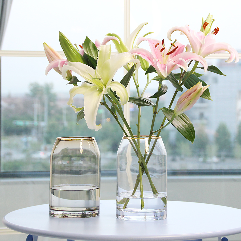 北欧玻璃花瓶 透明创意客厅餐桌插花