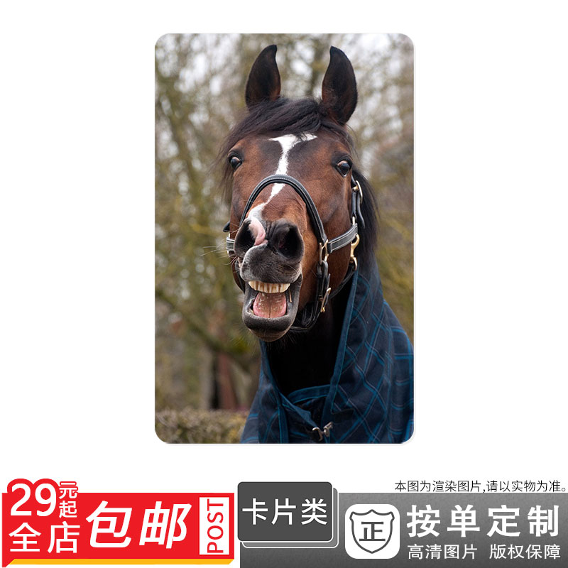 500250750 马匹缰绳绳索牲畜动物牧场的马匹卡贴双面卡单面卡防晒|ruв категории персональные настройки/разработка услуг/DIY, другие настройки, другие товары настройки - от Buy2taobao.com для оказания профессиональной услуги покупки агента Taobao