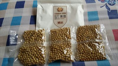 Re:请问真实入手美国西屋破壁机怎么样呢??使用感受参考西屋破壁机各型号对比如何 ..