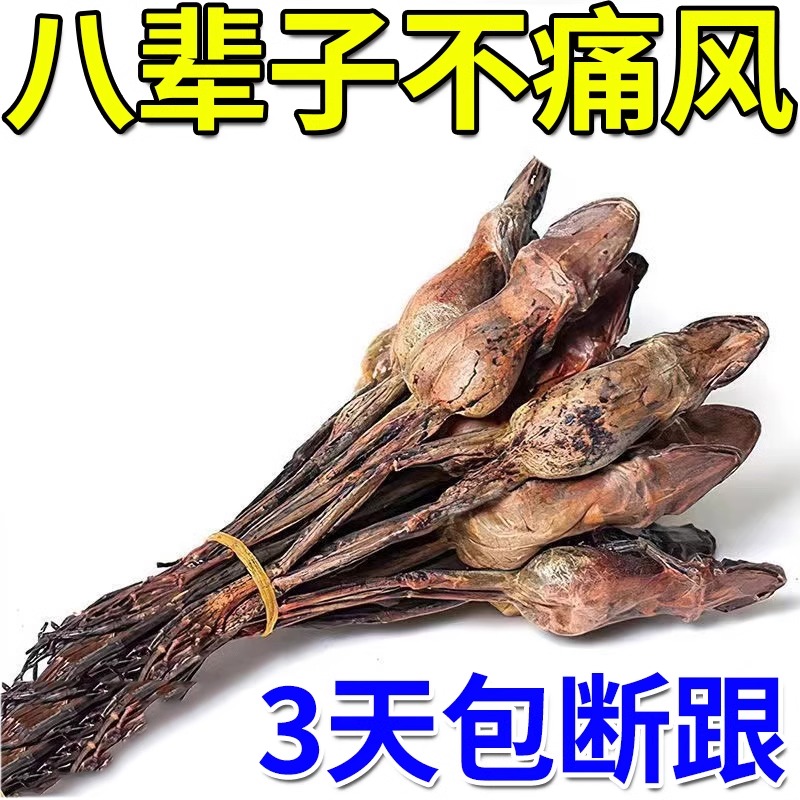 【101%冶痛风】痛风专用药贴降尿酸溶结晶脚趾手指关节肿胀疼痛zj