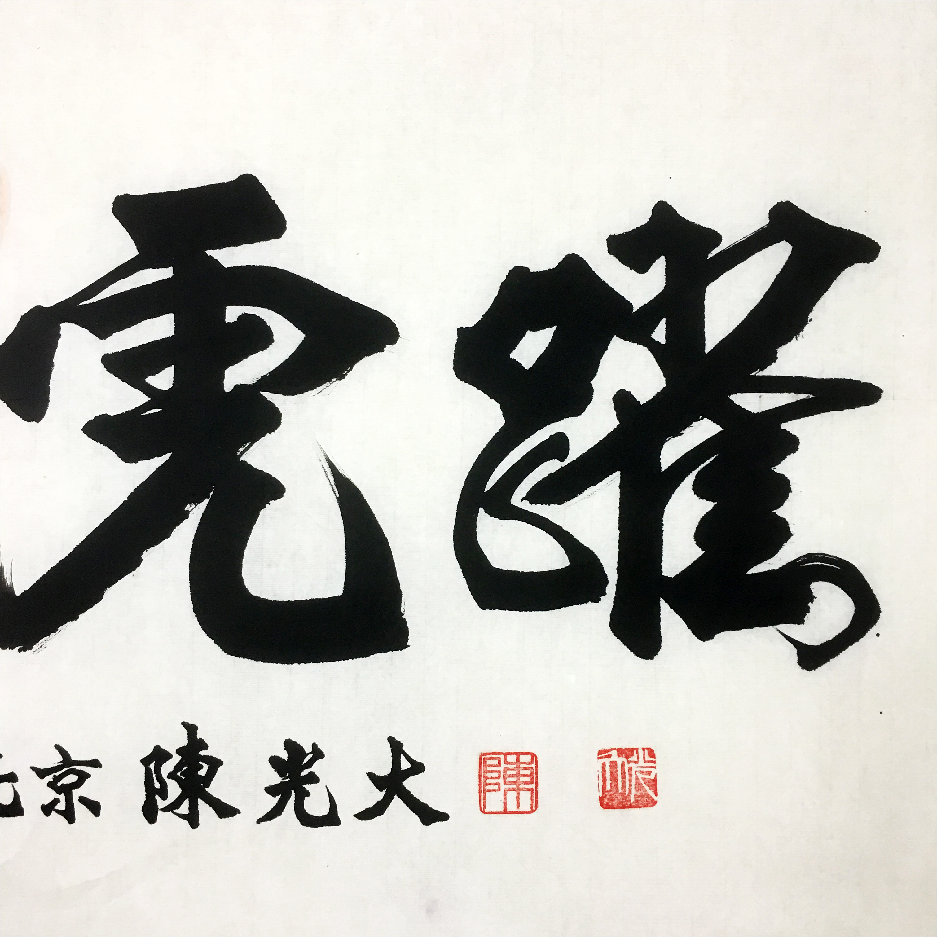 陈光大《龙腾虎跃》