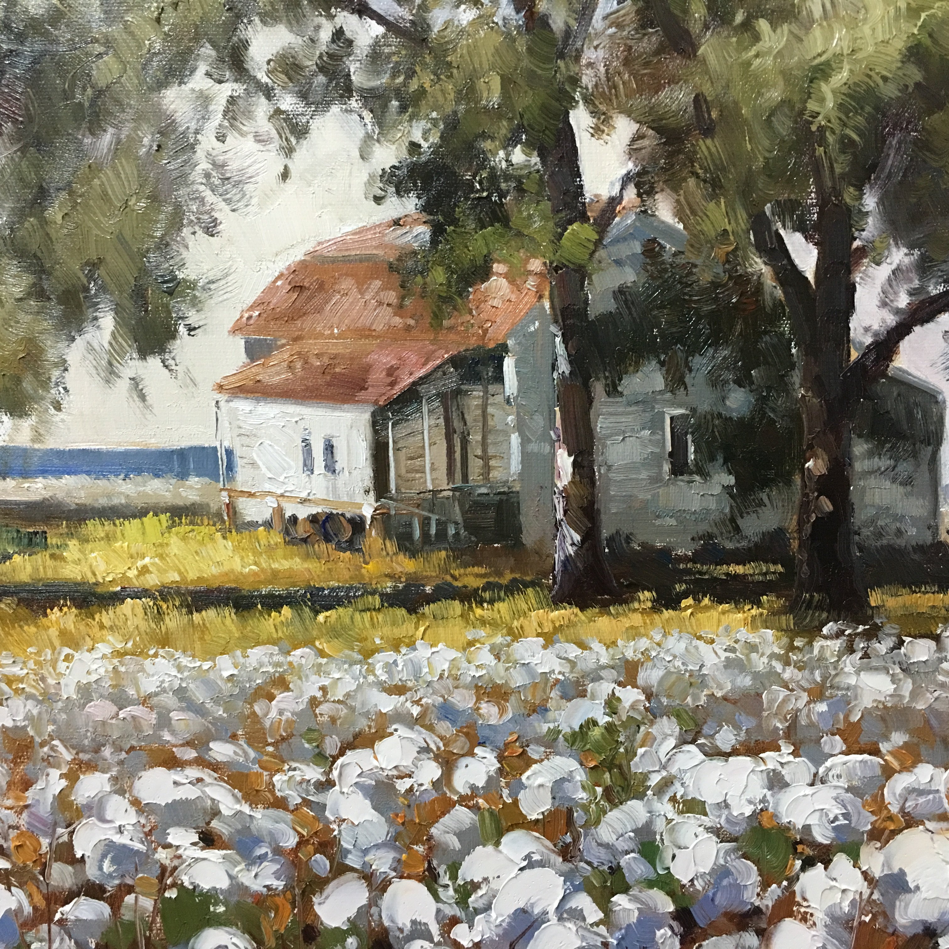 赵国祥《白棉花》布面油画