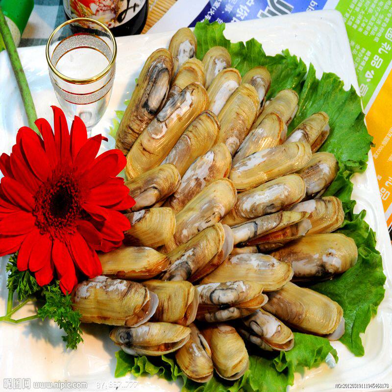 硬派老王新鲜蛏子鲜活二斤装小海鲜蛏毛蚬不泡水现挖现发产地顺丰