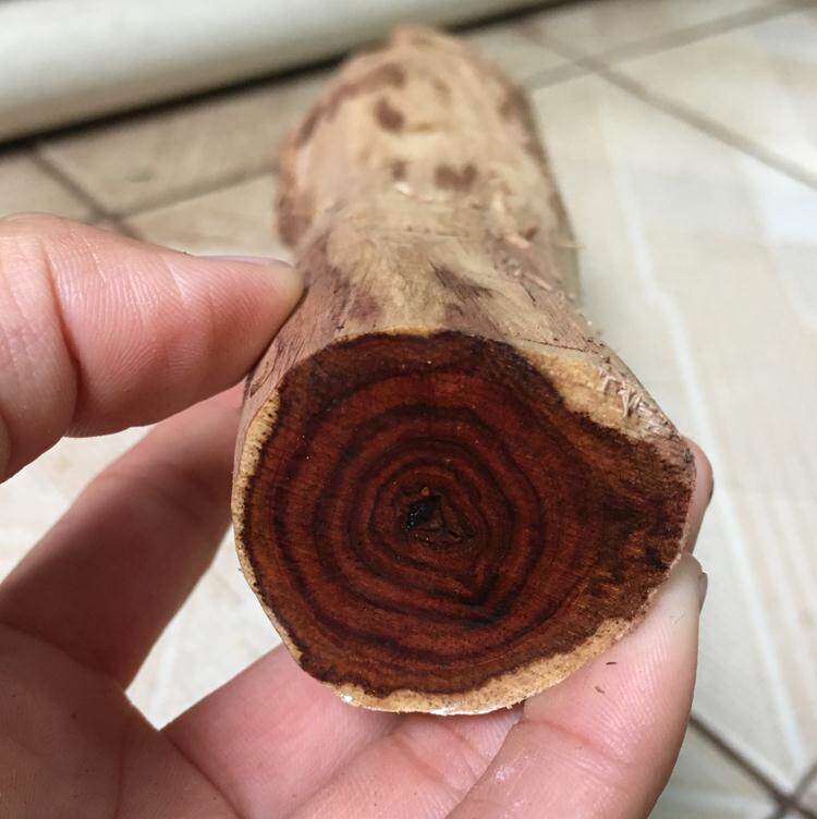 热销海黄木料 原木