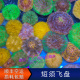 短须飞盘珊瑚 活体鱼缸软体LPS 海水缸活体 双色橙色飞盘石芝珊瑚