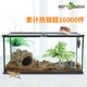 reptizoo玻璃爬虫饲养缸蜥蜴守宫蛇甲虫角蛙乌龟水陆两栖饲养盒箱