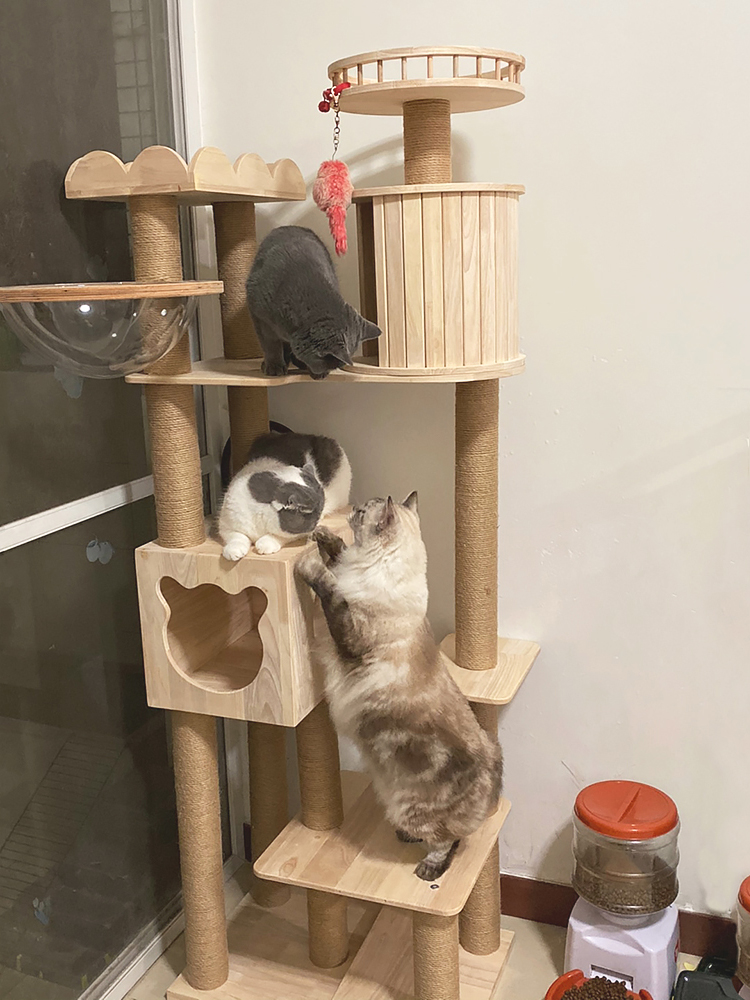 萌助 猫架猫爬架实木 大型猫架子猫窝一体别墅猫咪猫树屋猫塔跳台|ruв категории животное/Животное питание и принадлежностей, кошка/собака игрушка, кошка на раме - от Buy2taobao.com для оказания профессиональной услуги покупки агента Taobao