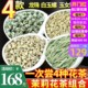 2024茉莉花茶白螺王玉女环银针龙珠浓香花茶组合新茶500g