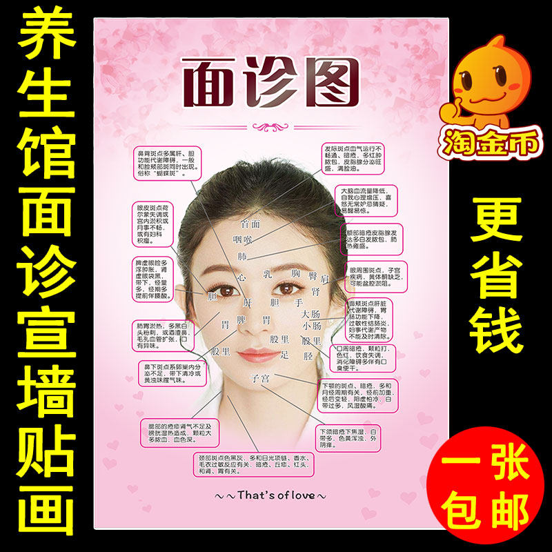 美容院面部诊断示意图解挂画中医养生馆脸部经络对应反射区疗法图
