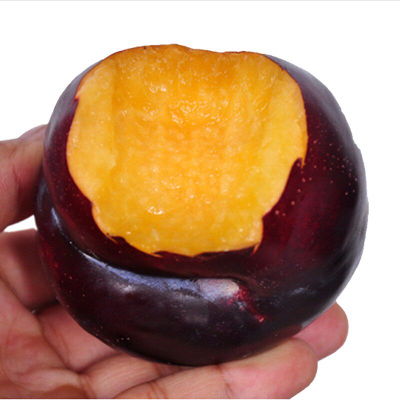 布林带_陕西黑布林红心李子新鲜10斤整带箱酸甜孕妇水果恐龙蛋应季