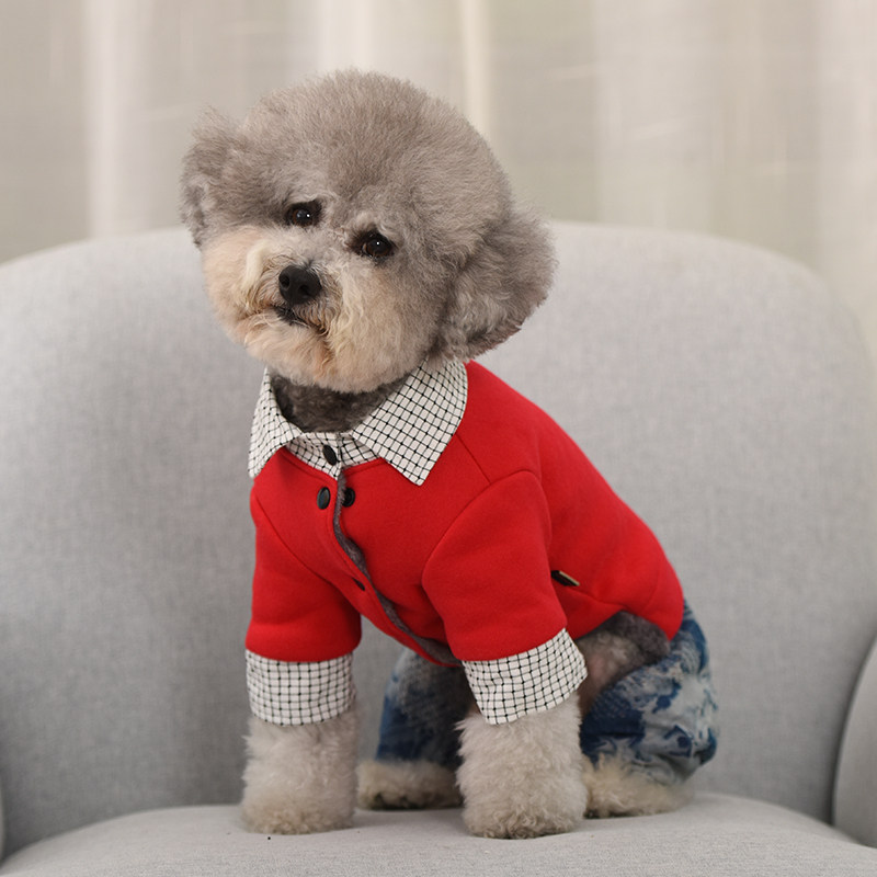 泰迪衣服秋冬四脚潮牌