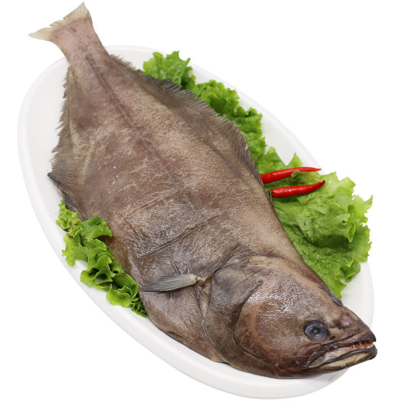 进口格陵兰整条鲽鱼0.5-0.75kg/条比目鱼鸦片鱼海鲜水产年货