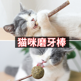 猫咪磨牙棒木天蓼棒猫薄荷小奶猫幼猫啃咬洁齿猫零食逗猫玩具用品
