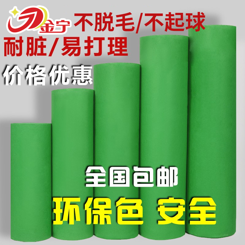 金宁绿色地毯地毯幼儿园加厚果绿舞台展会婚庆防滑楼梯满铺一次性