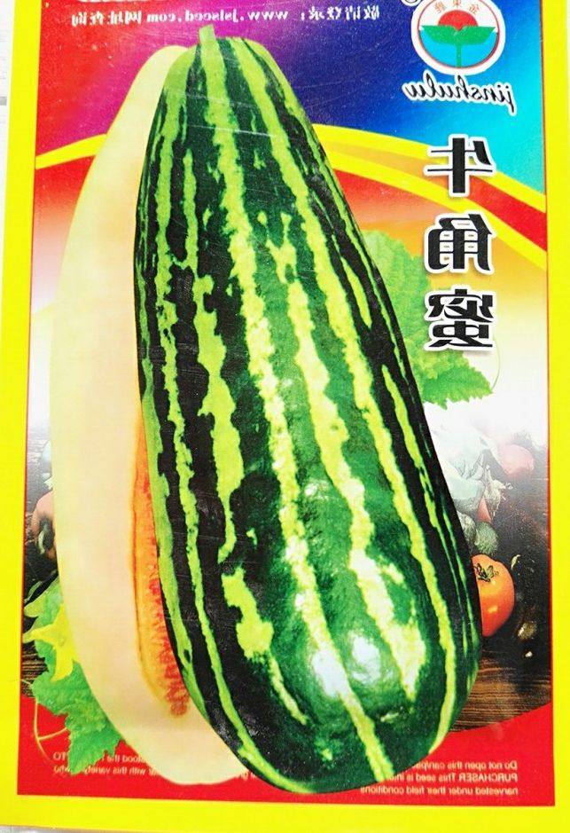 蔬菜瓜果牛角蜜牛角脆甜瓜牛角酥香瓜水果四季播易种酥甜