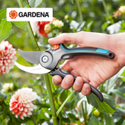 Germany imported Gardiner pruning shears gardening special scissors fruit tree pruning branch scissors garden tools flower scissors