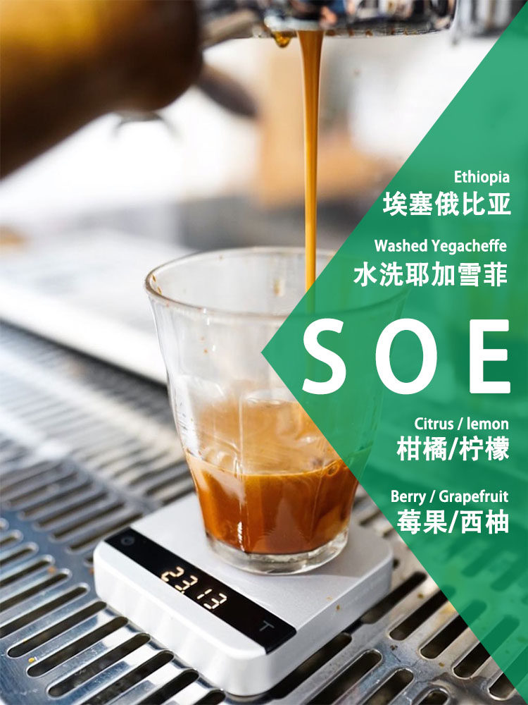 kiwicoffee埃塞水洗耶加雪菲soe单品浓缩咖啡豆浅中咖啡豆