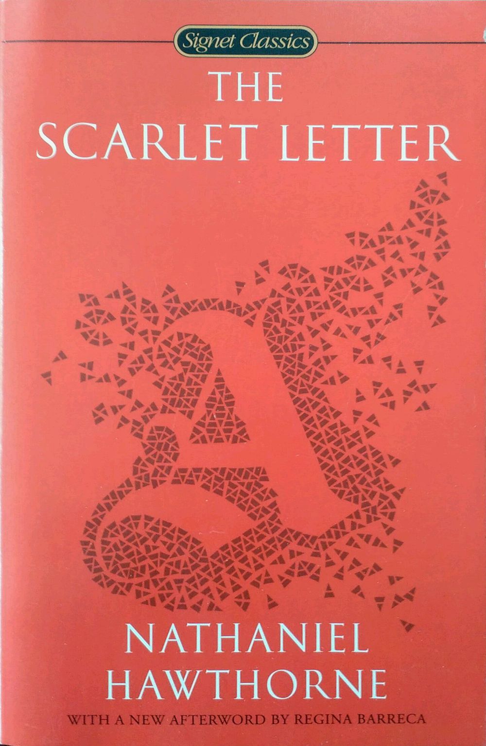 外图原版进口英文thescarletletter红字文学小说类原版书