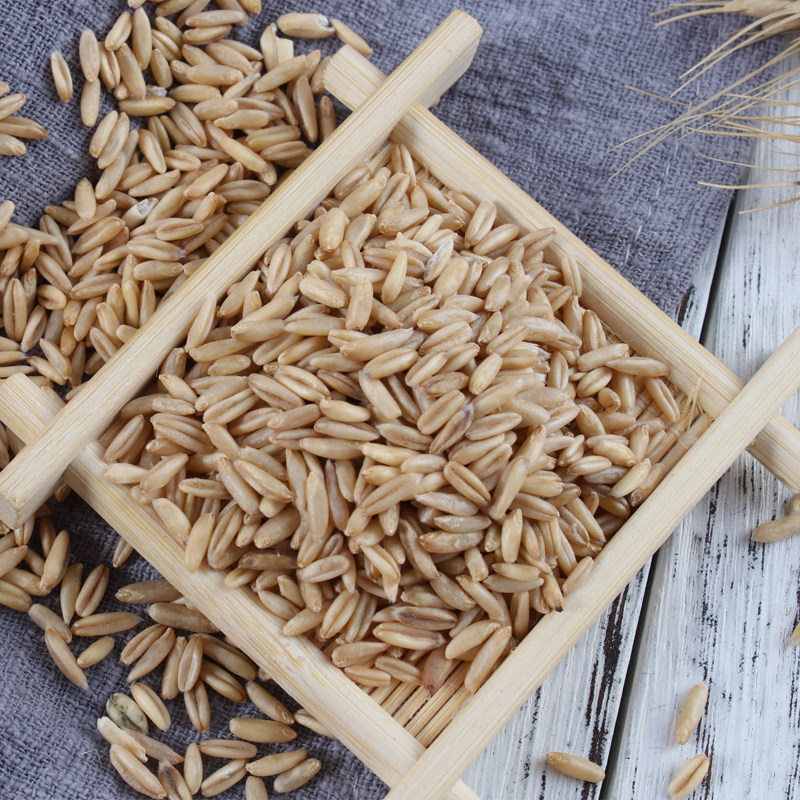 新米燕麦米农家自种燕麦黄小米粥搭档山地燕麦米500g