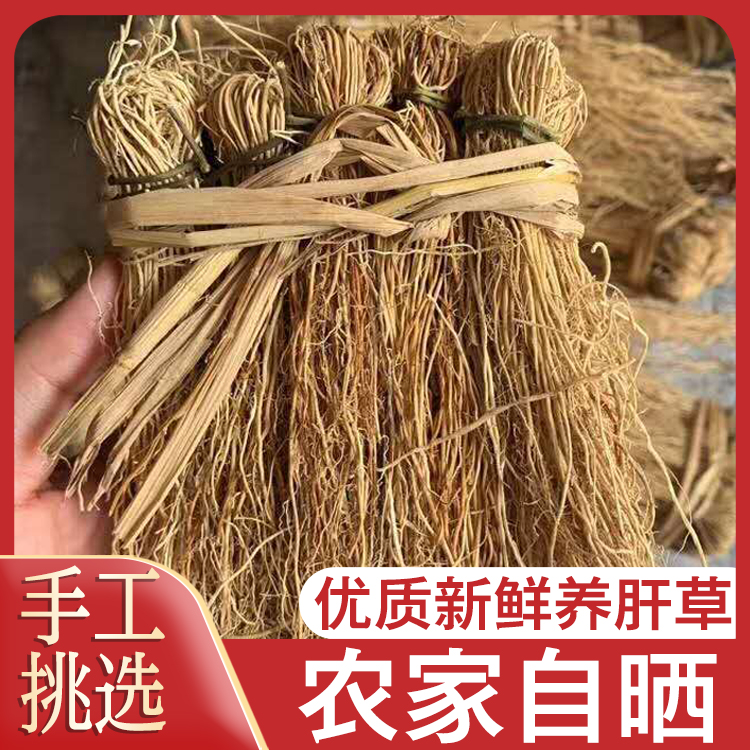 自产自销养肝草丝线根护肝草 特色食材汤料1把10小扎包邮