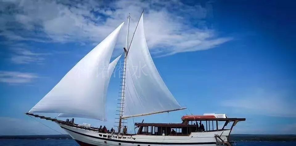 班达海2020年国庆黄金周印尼锤头鲨风暴之旅 9月29-10月6日|msdalam kategori luar/Mountaineer/Camping/Aksesori perjalanan, di luar rumah/acara/Line/produk pelancongan - dari Buy2taobao.com untuk memberikan perkhidmatan ejen Taobao profesional membeli