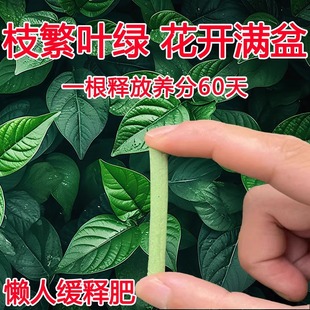 植物缓释肥营养棒养花通用型花肥家用盆栽花卉复合肥料发财树绿植