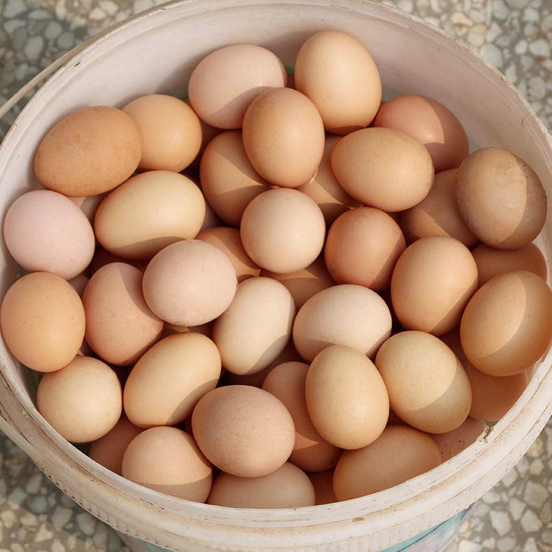 苏北草鸡蛋农家散养正宗土鸡蛋新鲜草鸡蛋柴鸡蛋2.4一枚
