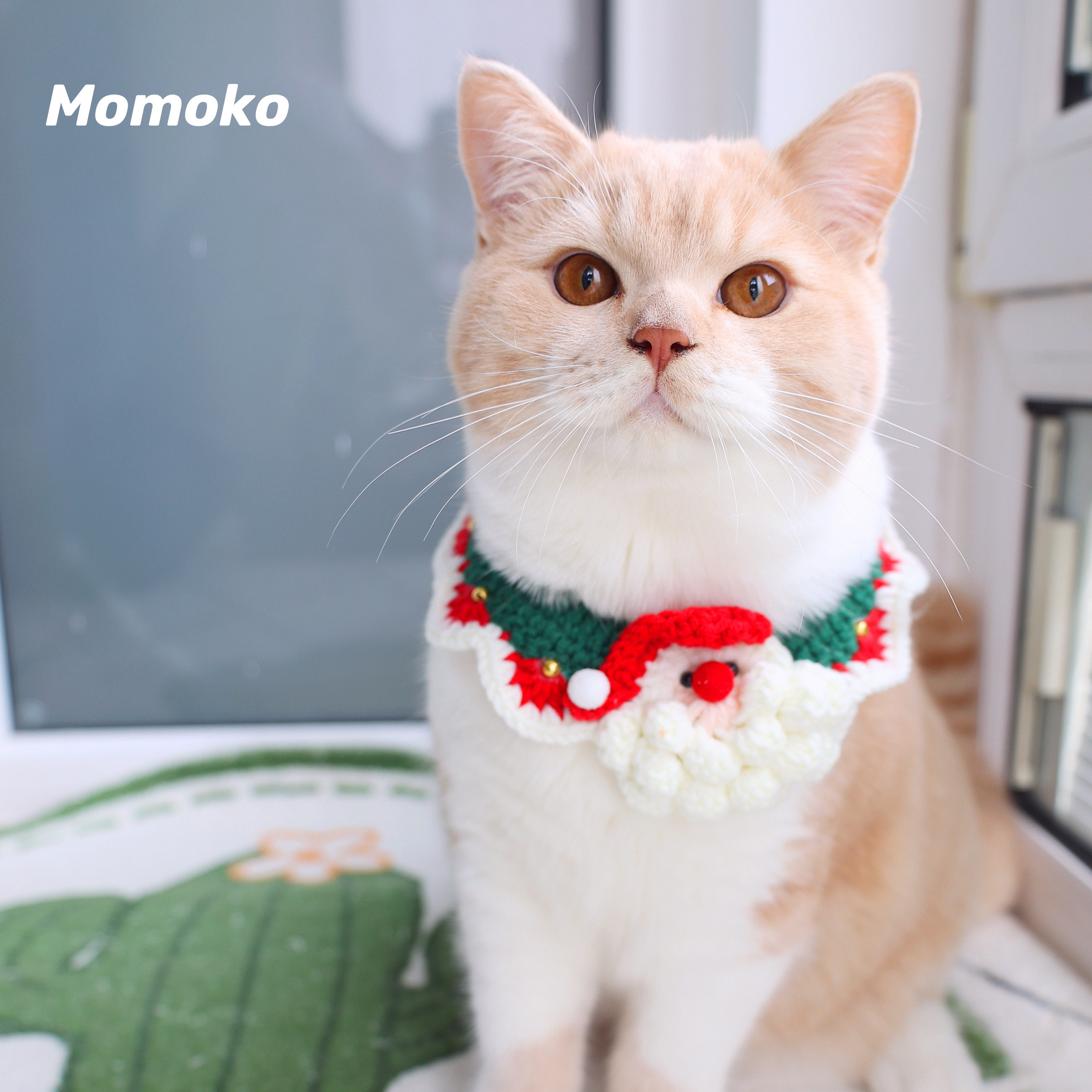 猫咪狗狗针织围脖围兜新年圣诞节宠物项圈可爱仙女口水巾