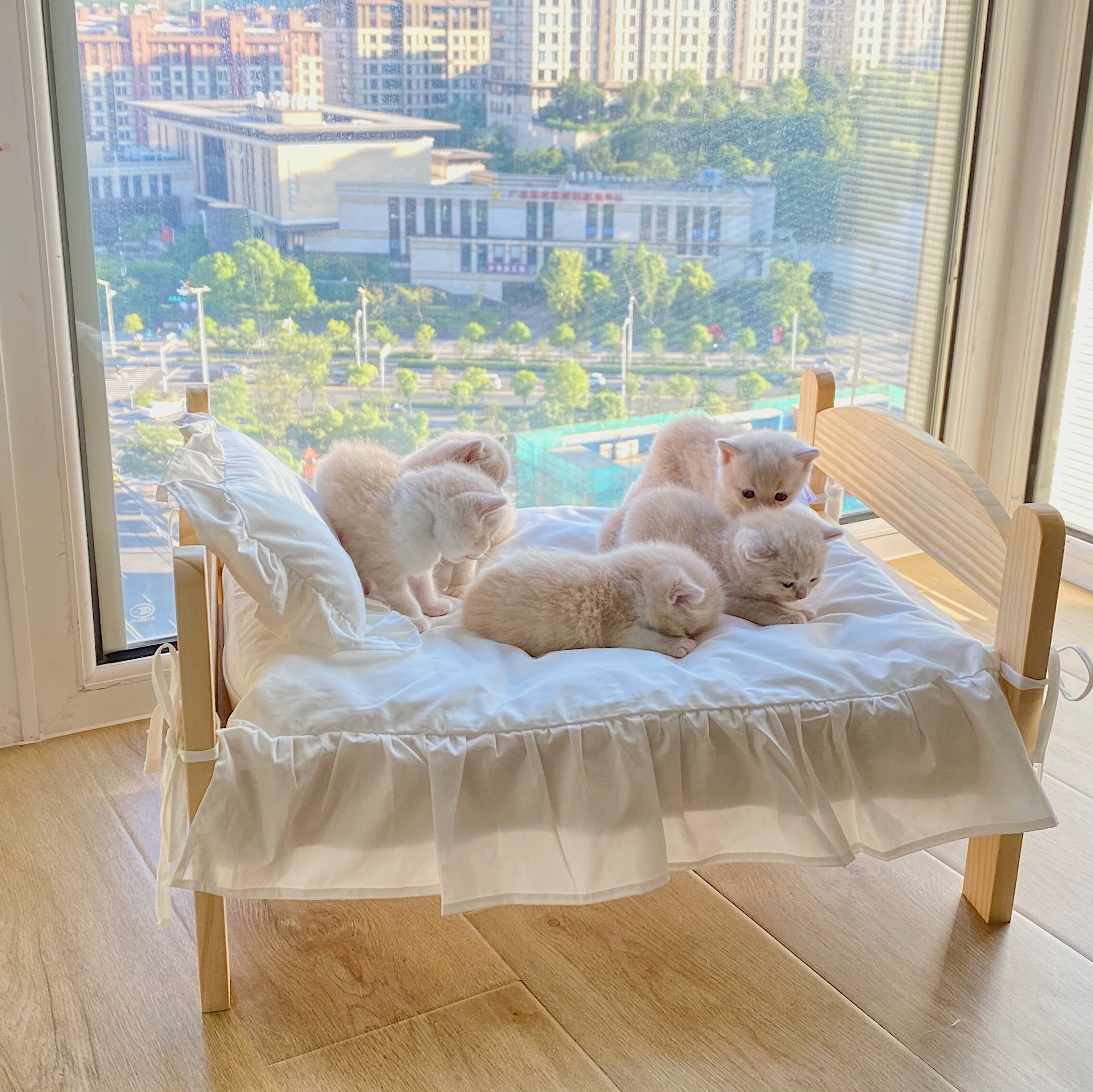 网红实木猫床宠物摆拍猫窝四季通用公主风猫咪床可拆洗木质小狗床