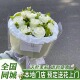 全国白玫瑰茉莉花黑骑士花束鲜花速递同城配送520情人节深圳北京