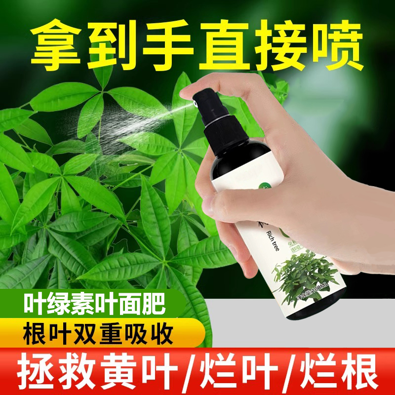 发财树专用营养液免稀释黄叶枯叶烂根专用复活液药叶绿素叶面肥料